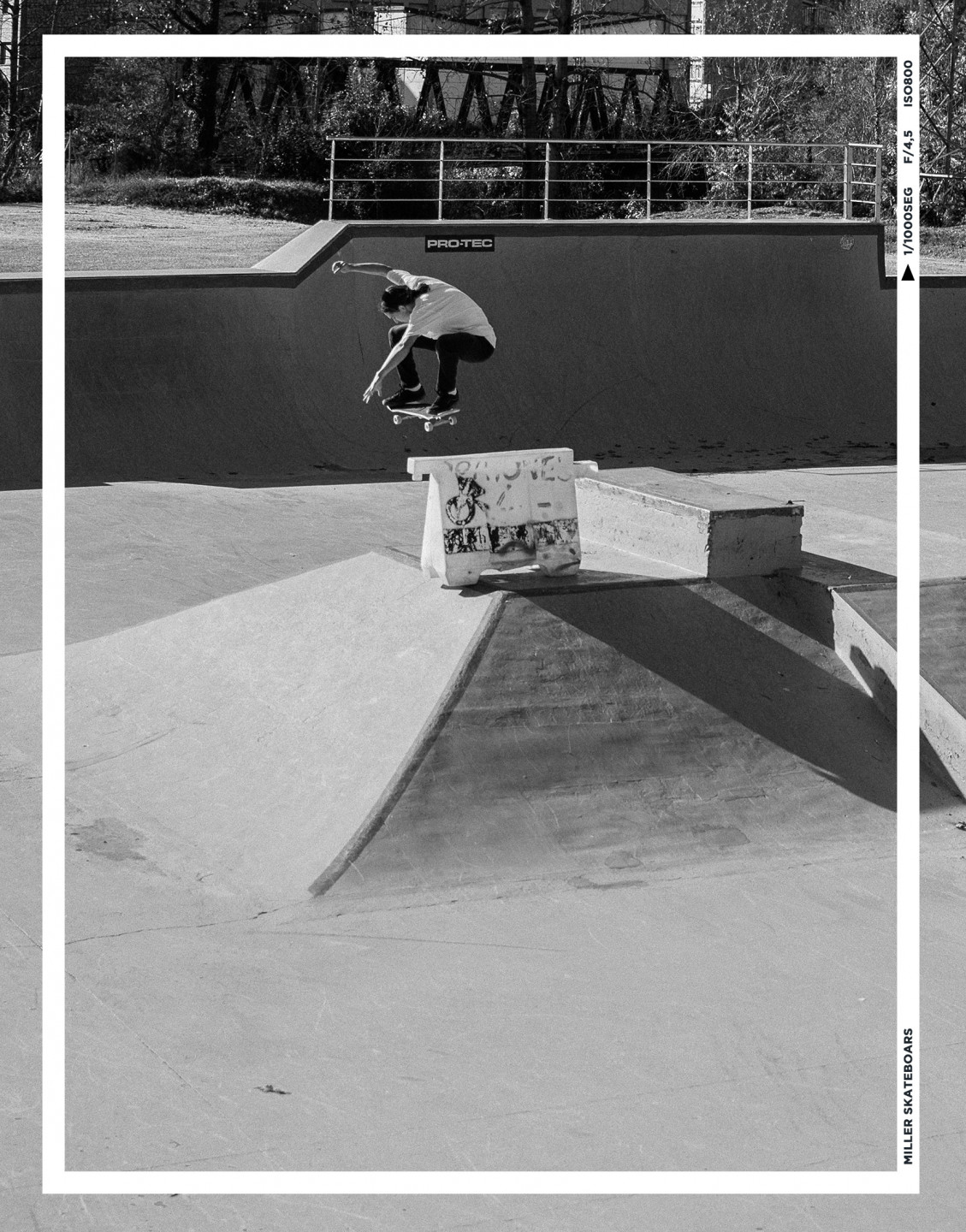 Skateboard